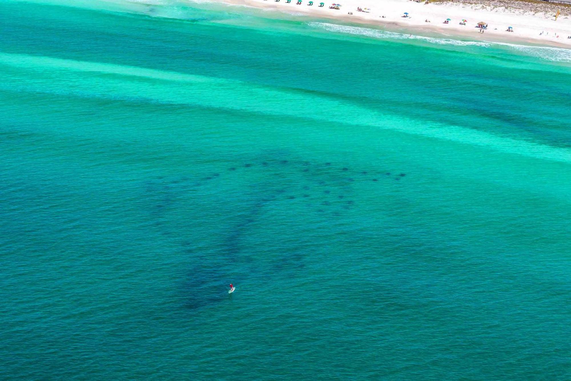 Ariel Dunes I 1307 دستين المظهر الخارجي الصورة